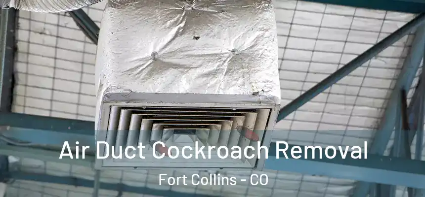 Air Duct Cockroach Removal Fort Collins - CO