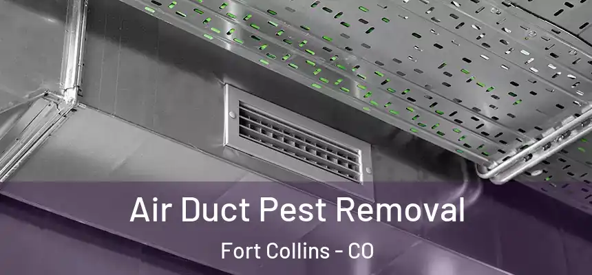 Air Duct Pest Removal Fort Collins - CO