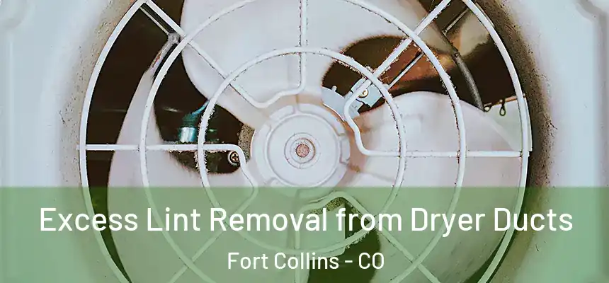Excess Lint Removal from Dryer Ducts Fort Collins - CO