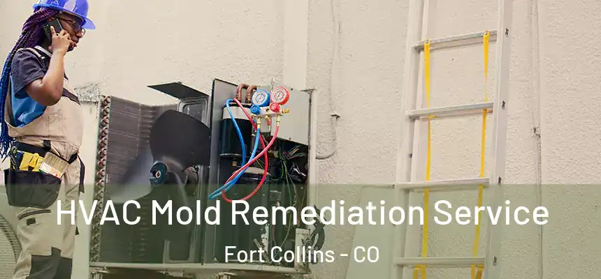 HVAC Mold Remediation Service Fort Collins - CO