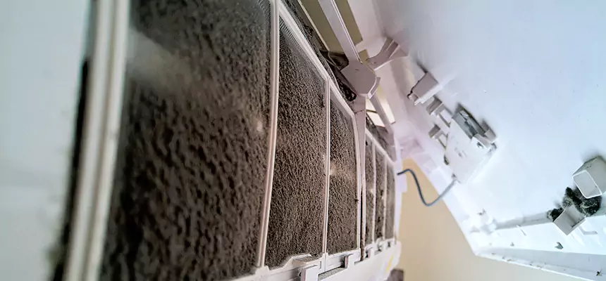 Preventive Air Duct Bacteria Removal in Fort Collins