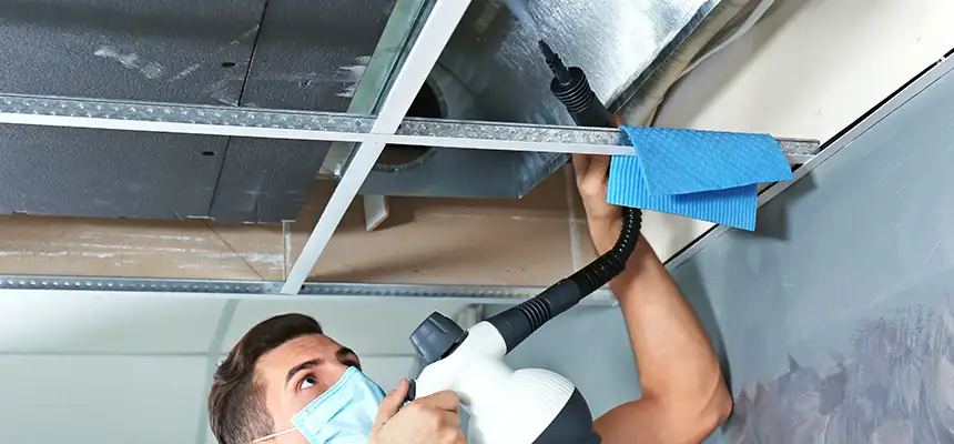 Our Air Duct Rodent Removal Services in Fort Collins, CO