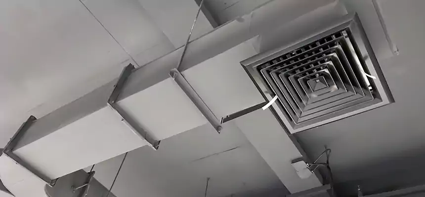 Restorative Allergy Relief Vent Cleaning – Coil, Blower & Housing Detail in Fort Collins