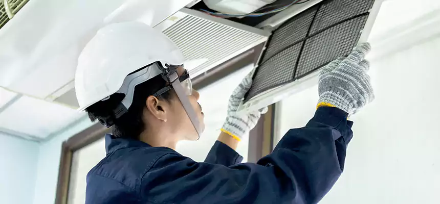 Our Mold & Mildew Removal from Air Ducts Services in Fort Collins, CO