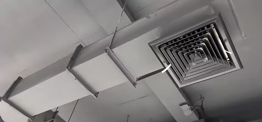 Our Pest Removal From Ducts Services in Fort Collins, CO