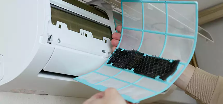 Gentle Ductwork Odor-Control Pet Dander Duct Cleaning in Fort Collins, CO