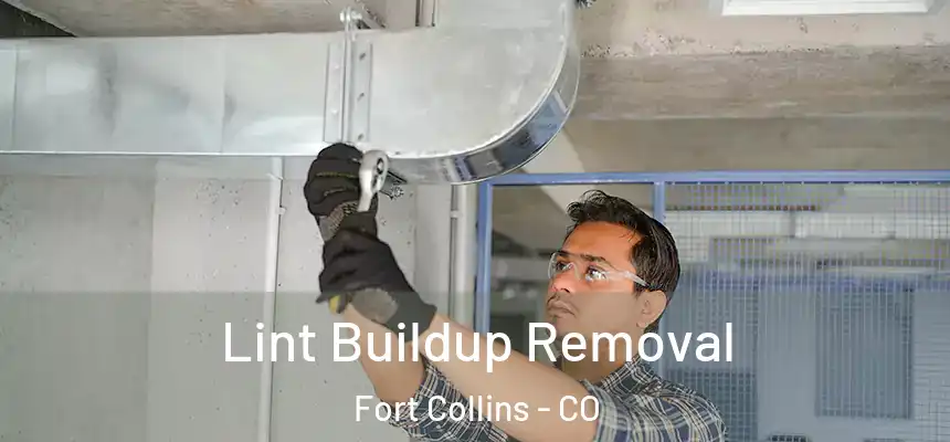 Lint Buildup Removal Fort Collins - CO
