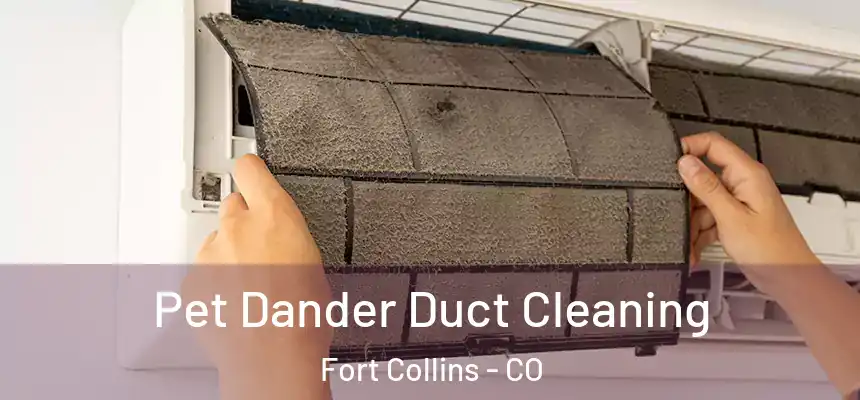 Pet Dander Duct Cleaning Fort Collins - CO