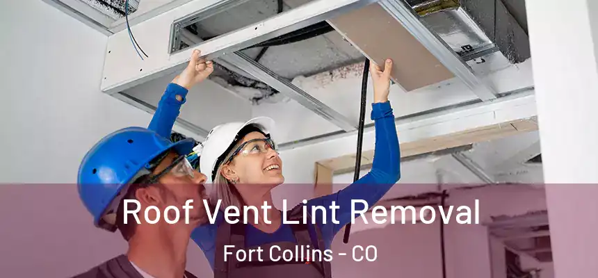 Roof Vent Lint Removal Fort Collins - CO