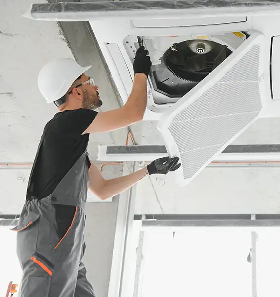 About Air Duct Rodent Removal in Fort Collins, CO