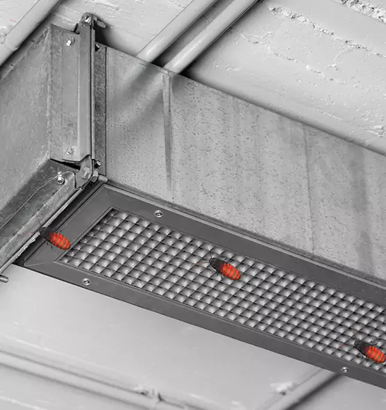 Affordable Insect Removal from Air Ducts in Fort Collins, CO