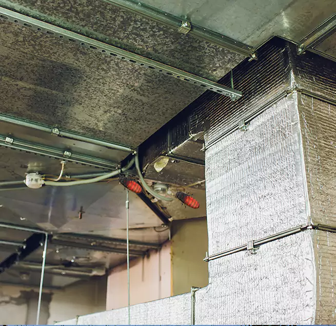 Why Homeowners & Businesses Trust Us in Fort Collins, CO?