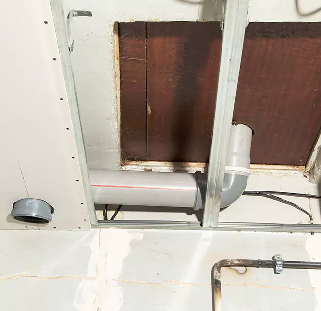 Why Homeowners & Businesses Trust Us in Fort Collins, CO?