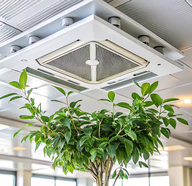 Why Homeowners & Businesses Trust Us in Fort Collins, CO?