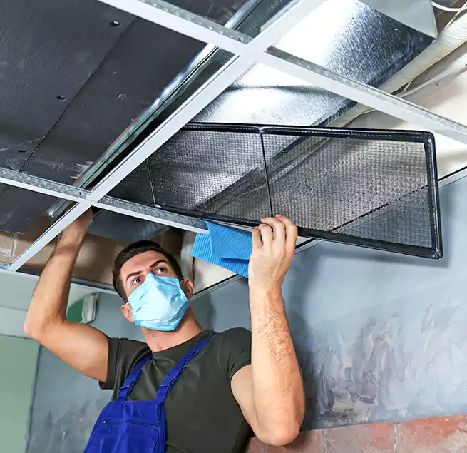 Why Homeowners Businesses Trust Us in Fort Collins, CO